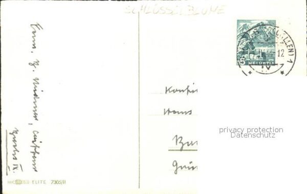 Konfirmation Glückwunsch Tulpen Schlüsselblume Weide – Bild 2