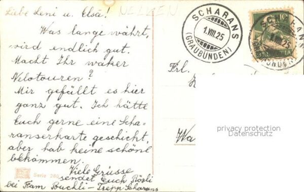 Blumen Nelken – Bild 2