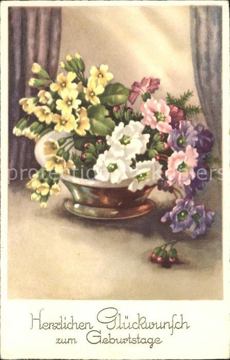 Blumen Primeln Glückwunsch Geburtstag
