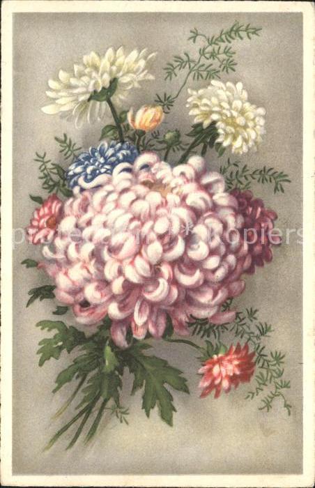 Blumen Dahlien