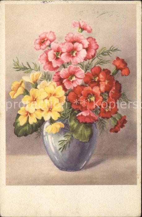 Blumen Primeln