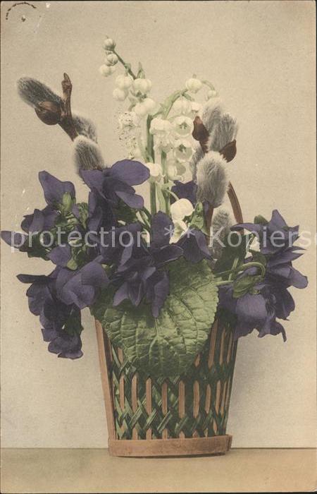 Blumen Veilchen Maiglöcken Weidenkätzchen
