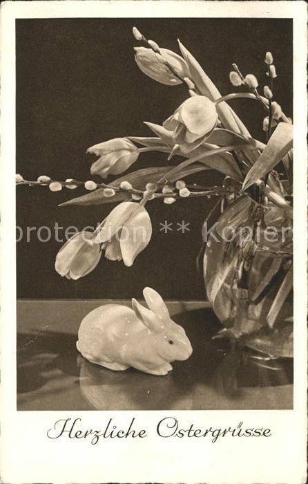 Blumen Tulpen Ostern Hase Weidenkätzchen