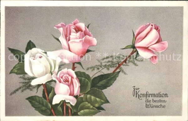 Rosen Konfirmation Glückwunsch