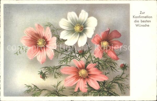 Konfirmation Glückwunsch Blumen
