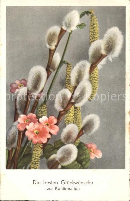 Konfirmation Glückwunsch Weidenkätzchen Blumen