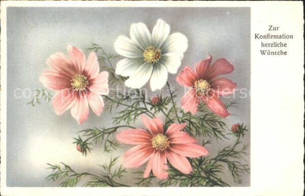 Konfirmation Glückwunsch Blumen