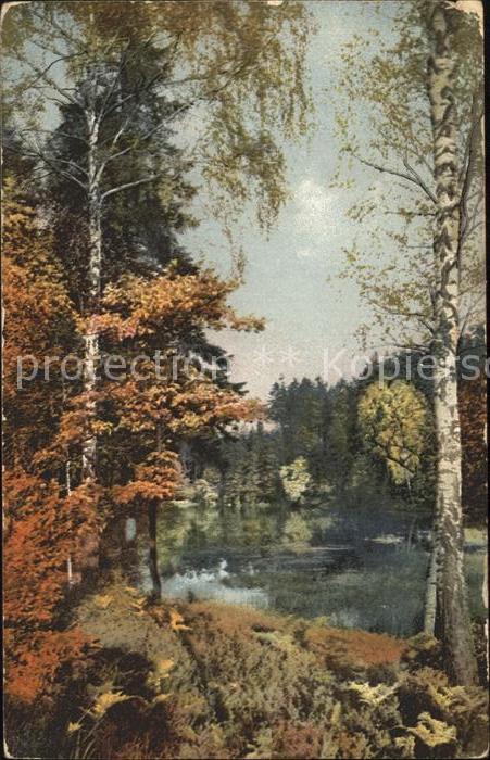 Verlag Photochromie Nr. 2230 Bäume See