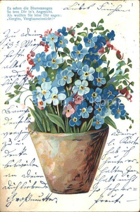 Blumen Vergissmeinnicht Gedicht