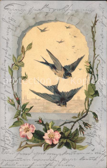Voegel Schwalben Blumen