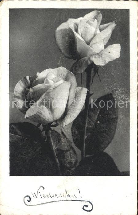 Rosen