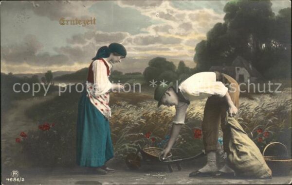 Ernte Landwirtschaft Weizenfeld Foto-RPH-Nr. 4686/2