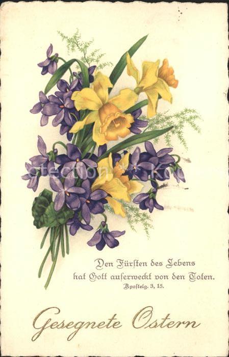 Blumen Narzissen Ostern