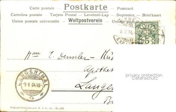 Tannenzapfen – Bild 2