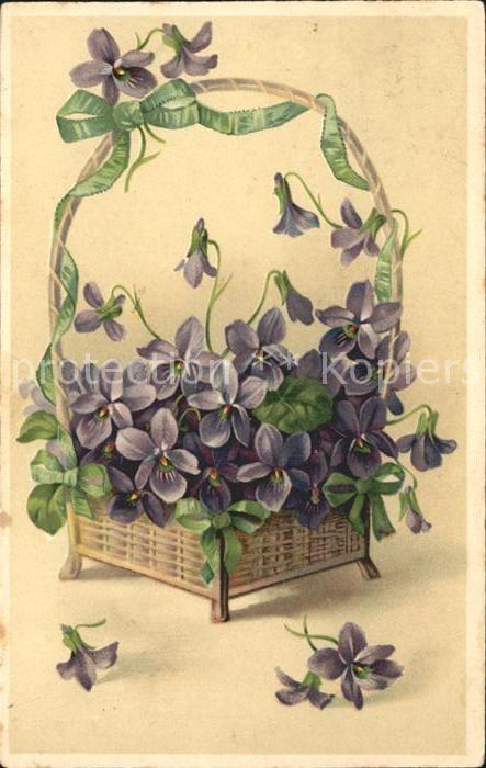 Blumen Wohlriechende Veilchen Korb Litho