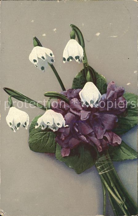 Blumen Märzenbecher