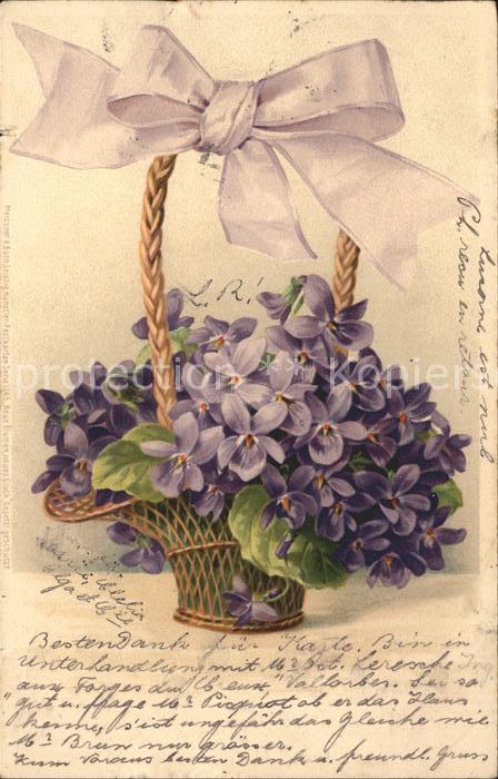 Blumen Wohlriechende Veilchen Korb Schleife Li