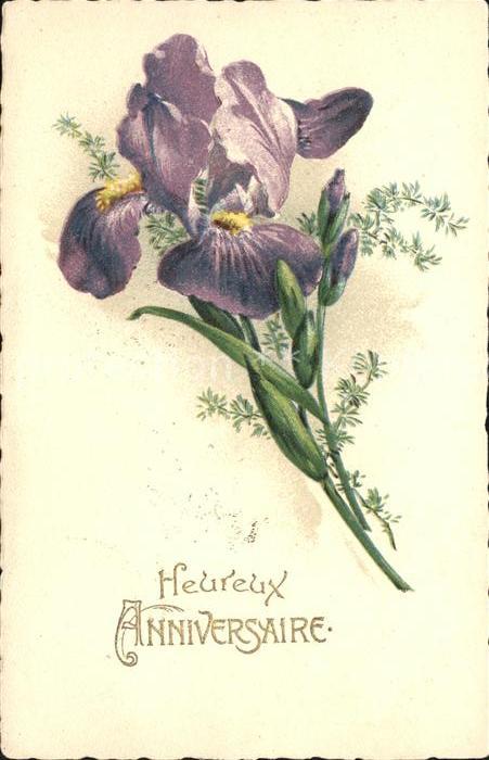 Blumen Iris Heureux Anniversaire