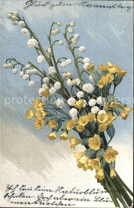 Blumen Maiglöckchen