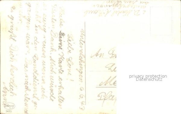 Blumen Primeln – Bild 2