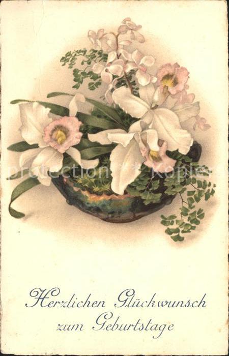Blumen Orchideen Glückwunsch Geburtstag