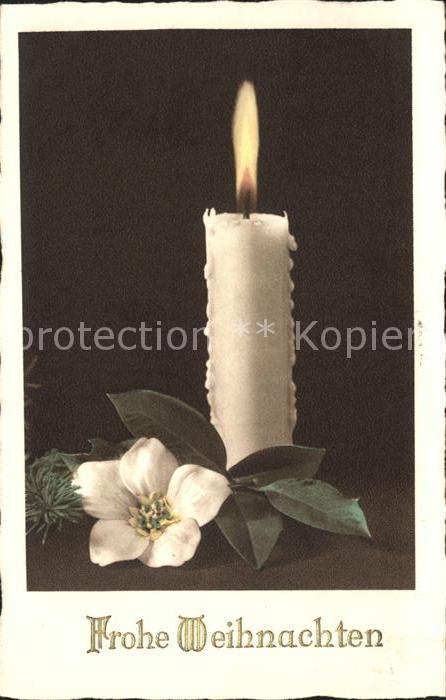 Weihnachten Christrose Kerze