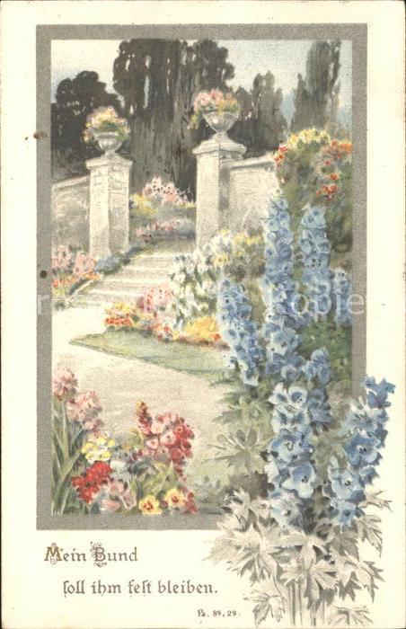 Blumen Rittersporn Psalm