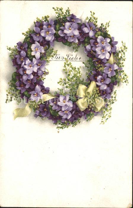 Blumen Veilchen Kranz