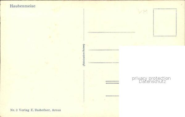 Voegel Haubenmeise – Bild 2