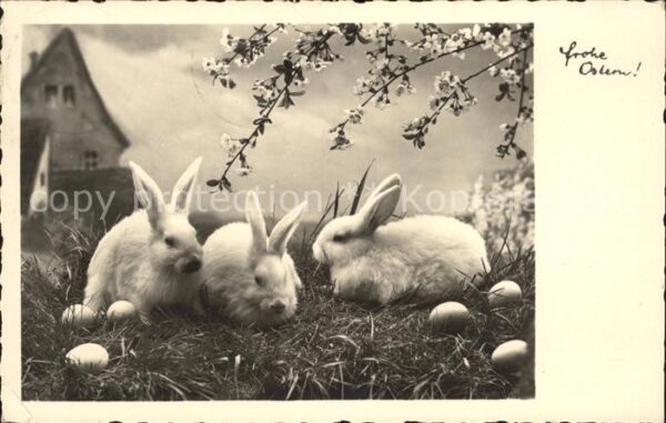 Hasen Ostern Ostereier