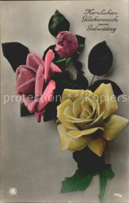 Rosen Glückwunsch Geburtstag Foto-NPG-Nr. 762