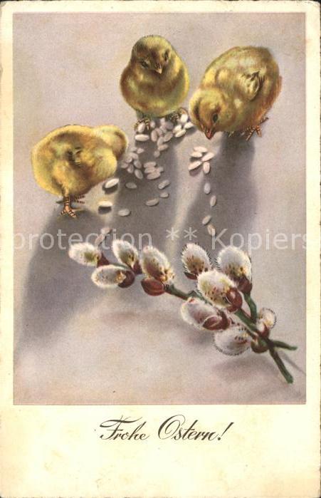 Ostern Easter Paques Küken Weidenkätzchen