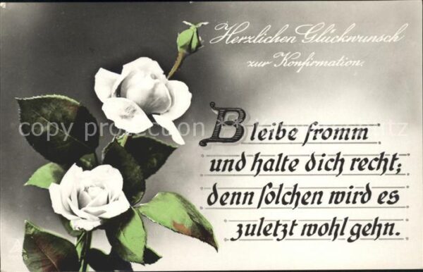 Konfirmation Glückwunsch Rosen Gedicht
