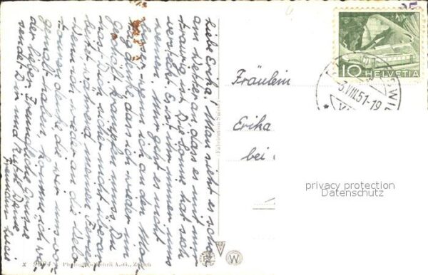 Schwan Schwanenfamilie – Bild 2