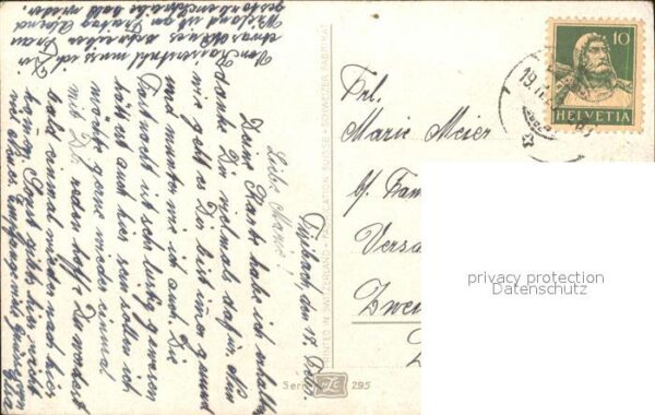 Rosen – Bild 2