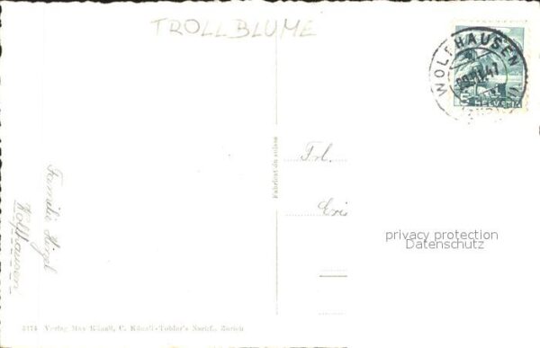 Blumen Trollblume Glückwunsch Konfirmation – Bild 2