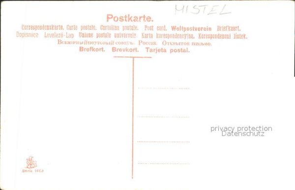 Weihnachten Mistel Christrose – Bild 2