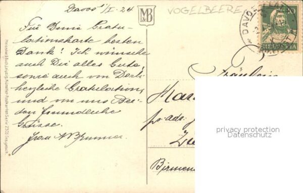 Neujahr Vogelbeere – Bild 2