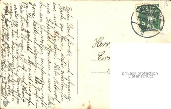 Blumen Enzian Schwarzes Kohlröschen – Bild 2