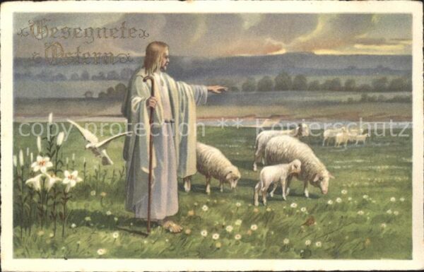 Jesus Christus Christentum Schafe Taube Ostern Blumen
