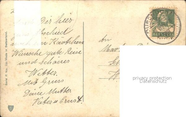 Rosen – Bild 2