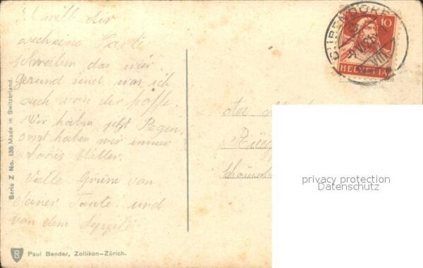 Rosen – Bild 2