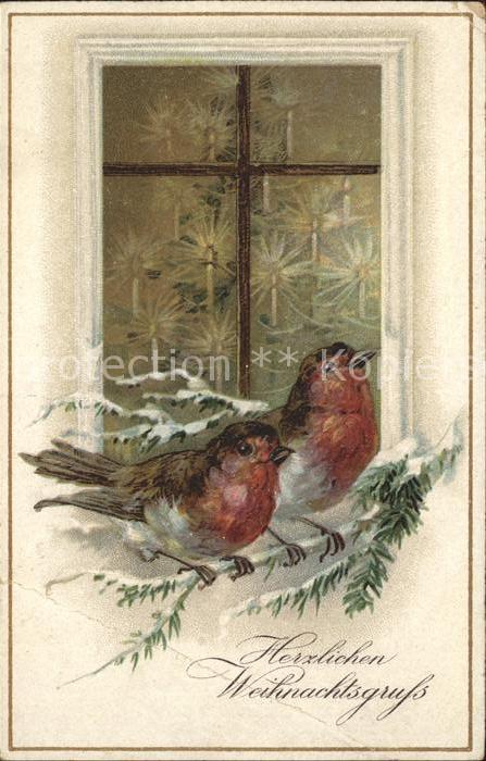 Voegel Rotkehlchen Weihnachten