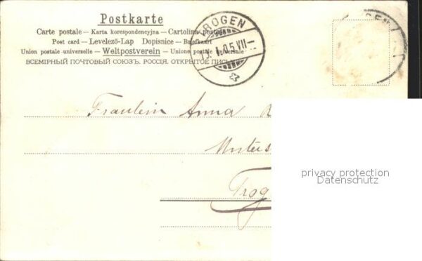 Blumen Margeriten Litho – Bild 2