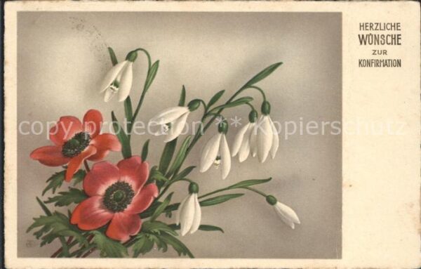 Blumen Anemonem Schneeglöckchen Konfirmation G