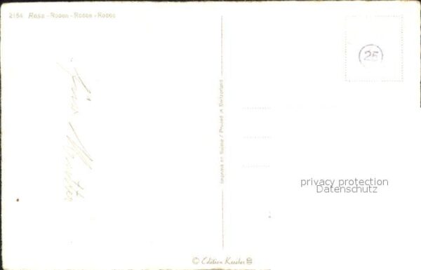 Rosen – Bild 2