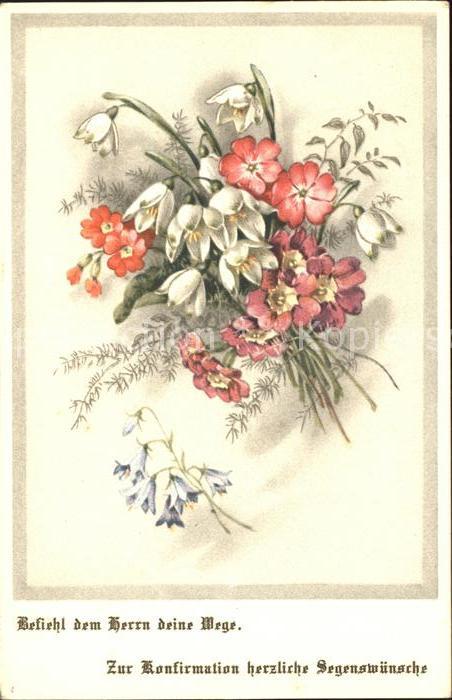 Blumen Märzenbecher Primeln Konfirmation Glück