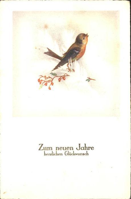Voegel Rotkehlchen Glückwunsch Neujahr