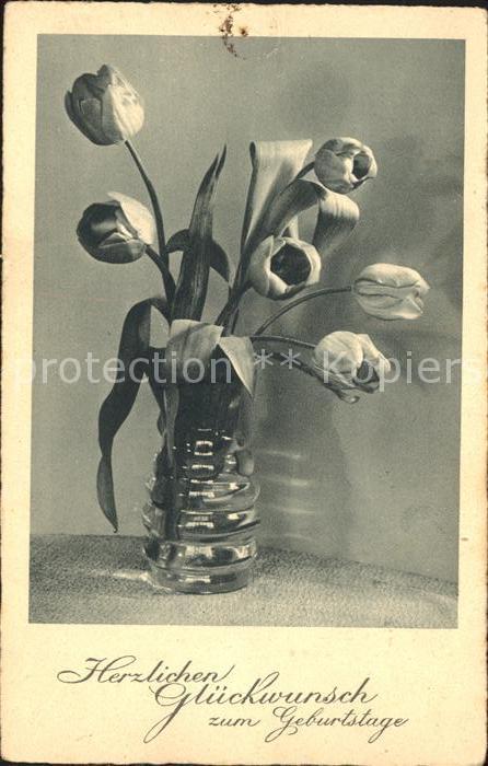 Blumen Tulpen Glückwunsch Geburtstag