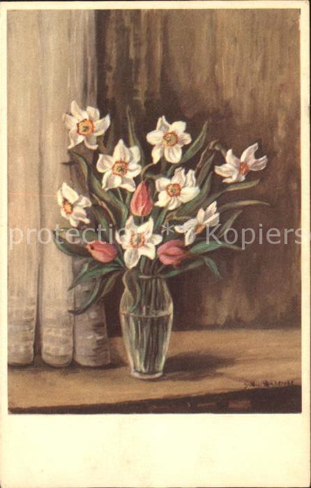 Blumen Narzissen Tulpen
